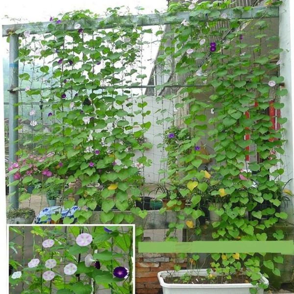 NEU 2024 Nylon Mesh Gartenbau Pflanze Crawl Net LOOFAH MORNEN RURLY GUCUMBER VINE GARTER CRABER FARM GARTENKEIT- FÜR LOOFAH MORNEN Glory Gurken Vine