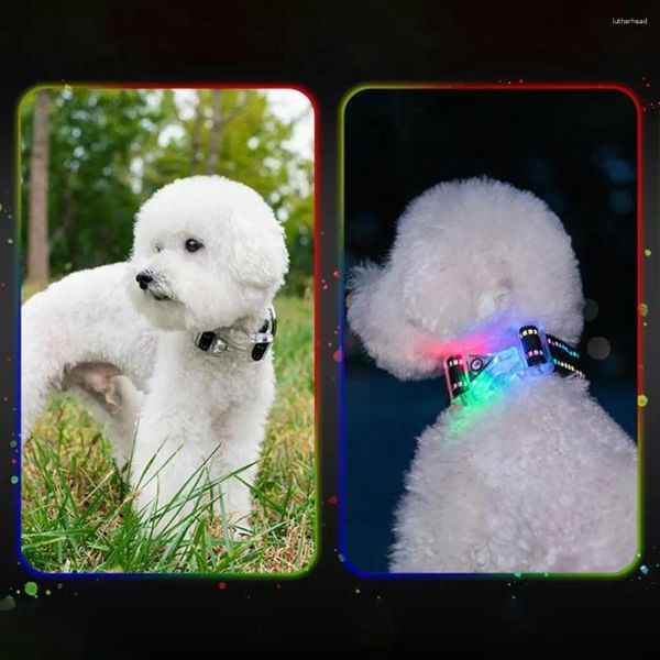 Collari per cani Collare per animali domestici Collare a LED di lunga durata per la sicurezza notturna con mezzo leggero luminoso e antipioggia