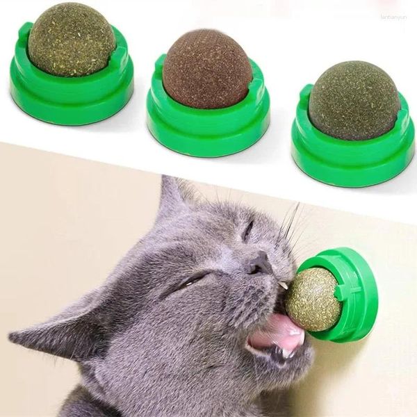 Gato transportadores caip parede vara-on bola brinquedo scratchers trata saudável natural remove bolas para promover a digestão grama lanche