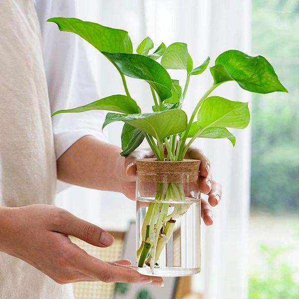 Vasi Mini vaso rotondo per fiori Contenitore idroponico Micro paesaggio Bottiglia ecologica in vetro con tappo in legno Decorazioni per la casa