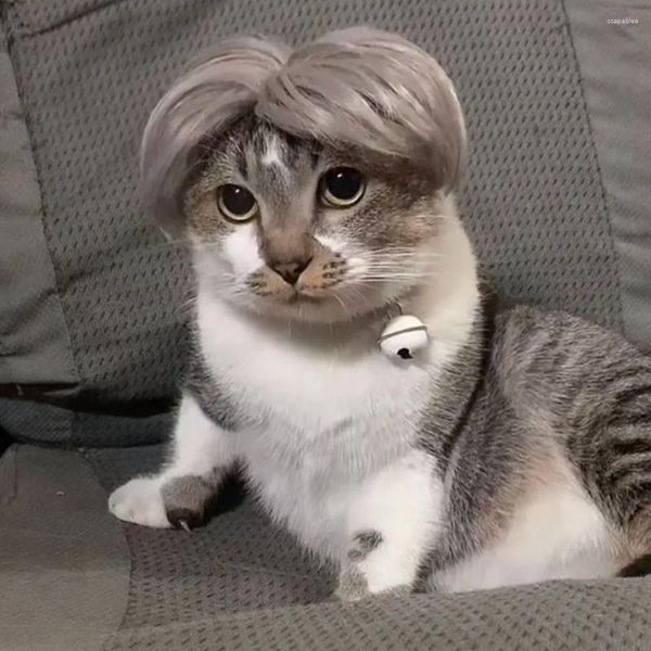 Cão vestuário falso durável para cosplay festa ajustável acessórios para animais de estimação respirável headdress gato peruca filhote de cachorro chapéu cabelo