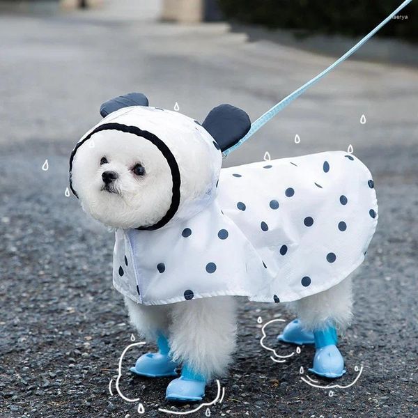 Cão vestuário verão impressão completa polka dot capa de chuva chuva tratável dois pés pet roupas impermeáveis ​​dos desenhos animados urso dia chuvoso artefato