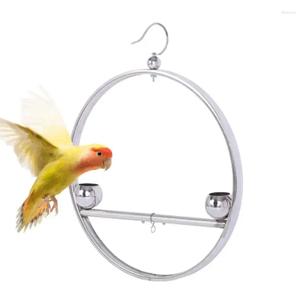 Outros suprimentos de pássaros Metal Parrot Stand Training Rack Swing Acessórios para animais de estimação à prova de ferrugem com gancho para janela de gaiola