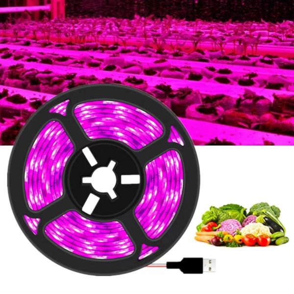 DC 5V USB LED Coltiva La Luce Spettro Completo 1-5m Pianta Luce Coltiva La Striscia LED Phyto Lampada per Ortaggi fiore Piantina Crescere Tenda