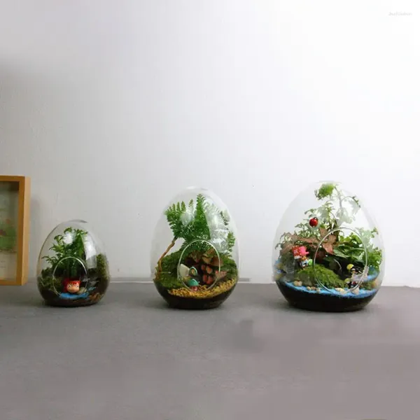 Вазы Креативные гидропонные яйцеобразные сочные стеклянные вазы-бутылки для украшения дома Микропейзаж