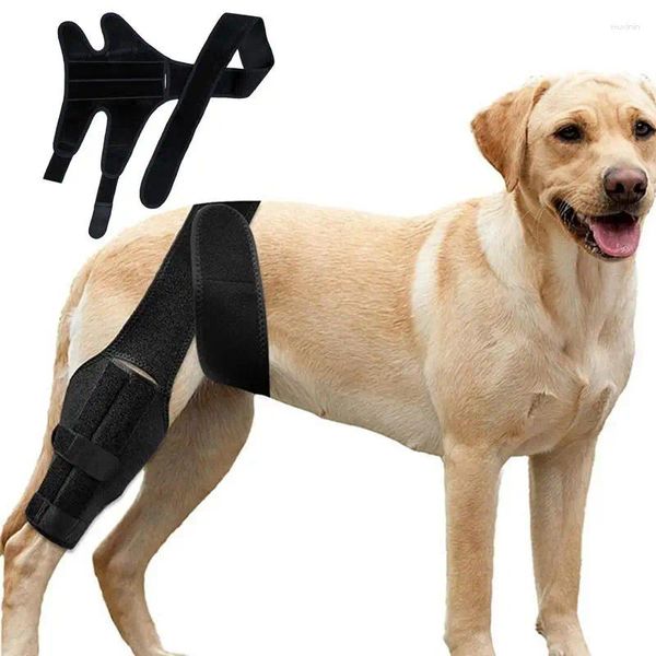 Protetor de joelho de vestuário de cão ajustável preto traseiro perna cinta almofada confortável para cuidados com lesões universal
