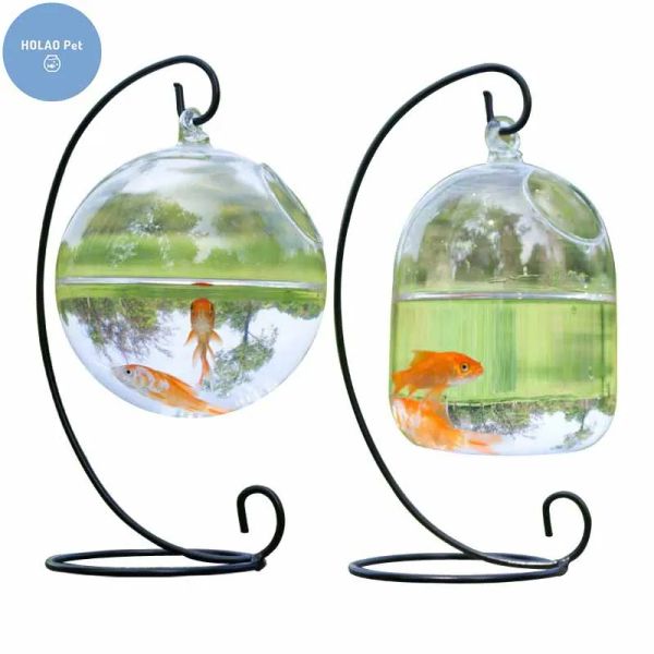 Tanks Mini-Aquarium, Zubehör für Goldfische, Glas, Fischglas, Angeln, Hydrokultur, Terrarium, Pflanze, Blumentopf, Haustier, Qualle, Karpfen