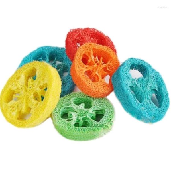 Diğer Kuş Malzemeleri 20 PCS Doğal Bitki LOOFAH MOMSAYS PET TOYS ÇİKLERİ 2 Paketler Molar Parrot Nibbles Oyuncak Parçaları