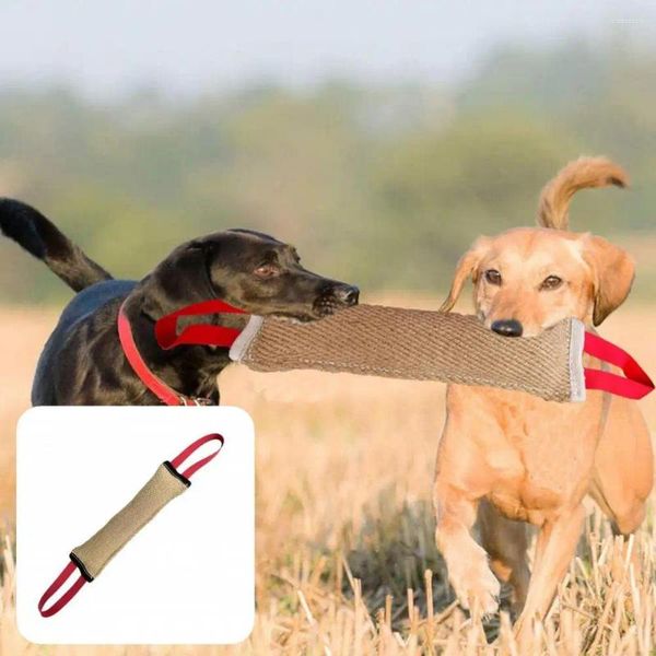 Hundebekleidung, robustes, praktisches Trainings-Bisskissen, Spielzeug, resistent, leicht zu greifendes Werkzeug