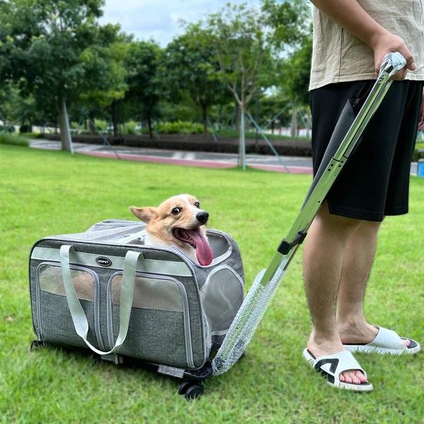 Portadores de gato cão passeio caso de transporte carrinho de estimação destacável roda universal mala tamanho grande