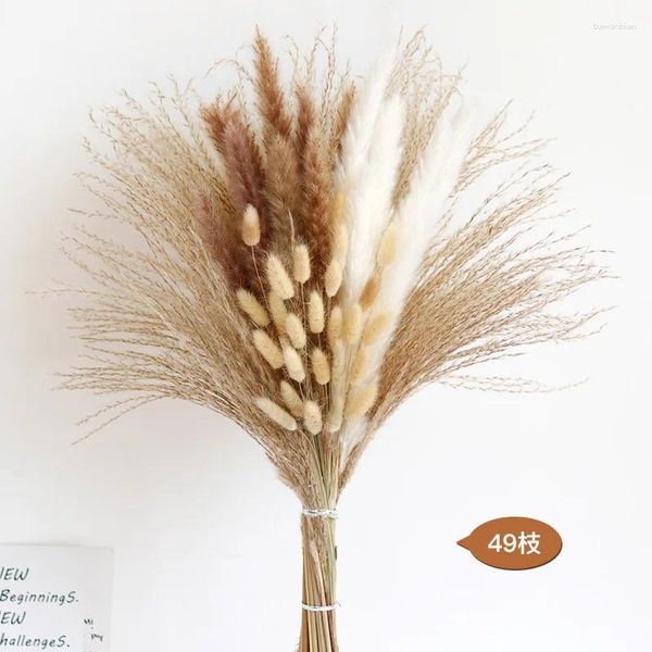 Flores decorativas Pampas secas naturais Grass fofas para Boho Decoração de Bouquet de Bouquet Moderno Oeste da Decoração de Mesa