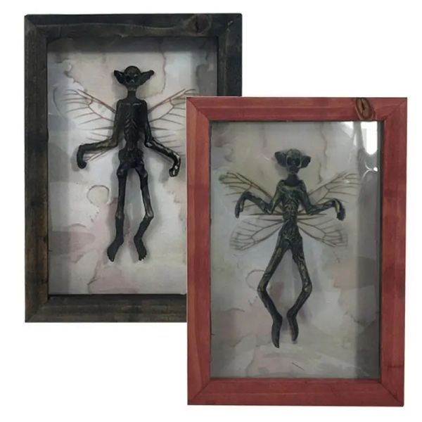 Miniaturas misterioso fantasma espécime foto quadro mumificado fada esqueleto estátua quadro de imagem morcego exibição resina decorações de halloween