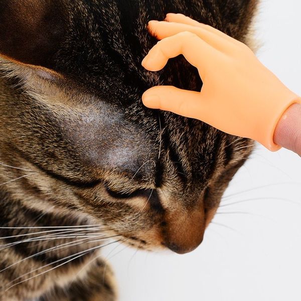 Jogando conjunto de dedo de gato brinquedo jogando gato mascarando luvas de plástico engraçado criativo brinquedo para animais de estimação pouco mão esquerda mão direita