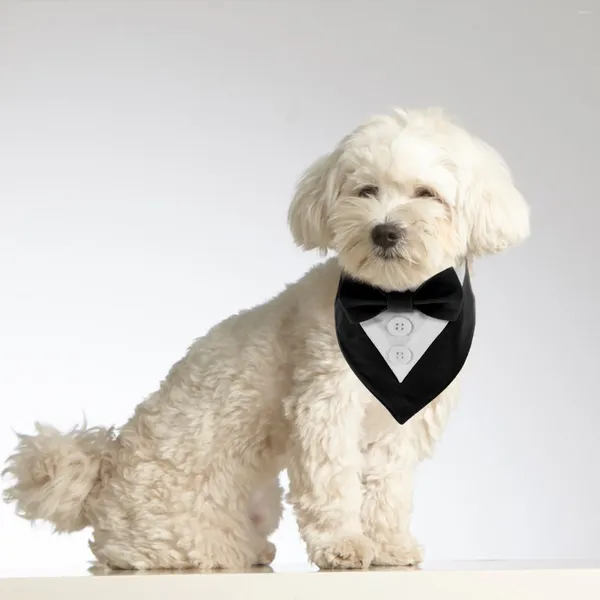 Cão vestuário filhote de cachorro bandana para cosplay terno cachecol pet saliva bib neckwear colar de gato