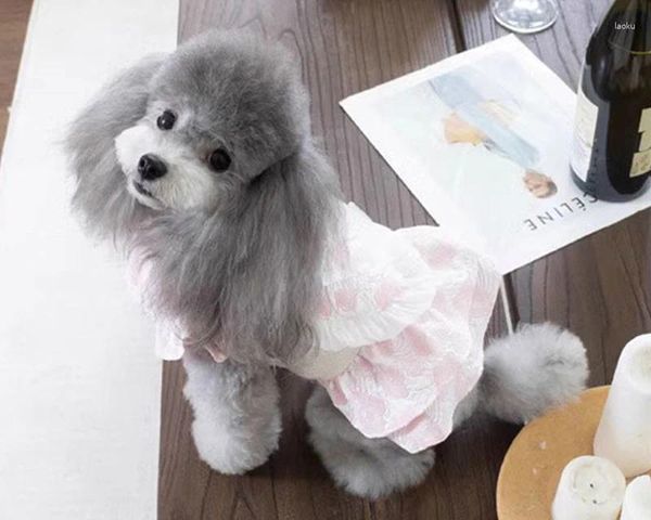 Hundebekleidung, Katzenkleid, Winter-Welpenkleidung, Mantel, Pudel, Yorkshire, Zwergschnauzer, Shih Tzu, Bichon, Malteserkostüm, Haustierkleidung