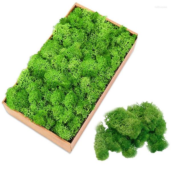 Flores decorativas 10g/50g/100g plantas artificiais eternas vidas de mosa