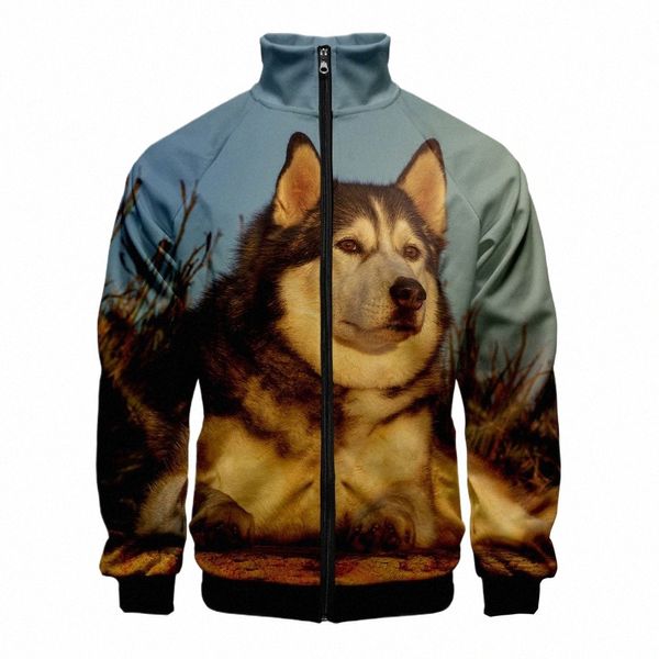 Animal bonito cão husky 3d gola hoodie homens mulheres zíper hoodies jaquetas manga lg 3d camisolas tops dropship e6sw #