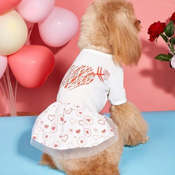 Abbigliamento per cani Costume per San Valentino Vestito a cuori Abito in tulle rosso per cani di piccola taglia Cat Girl