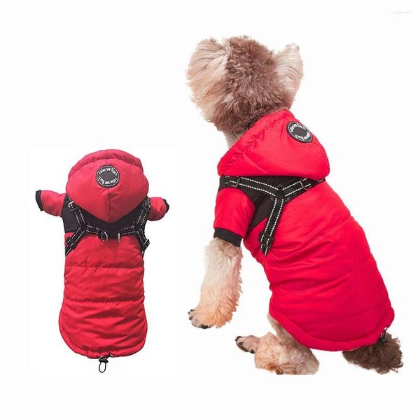 Cão vestuário casaco roupas para animais de estimação tração um impermeável e quente luta teddy down outono inverno cn (origem)