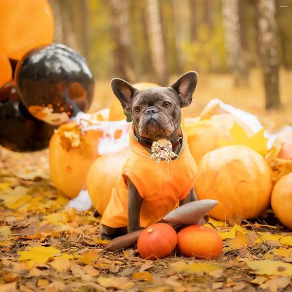 Hundekleidung Kastanienstil Pflege Truthahn Thanksgiving kleine Herbstbindungen 50/100pcs Maple für Bowties Accessoires Haustier Bögen