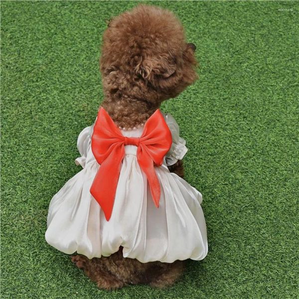 Abbigliamento per cani Abiti alla moda Vestiti per animali Maglia Abito da principessa per cuccioli Gonna in tulle con papillon Costume da festa di compleanno per cani di piccola taglia