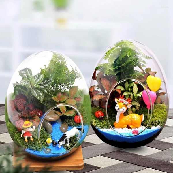 Vasos 1 pc criativo em forma de ovo garrafas de vidro hidropônico carnudo micro paisagem terrário suculento vaso musgo decoração de casa