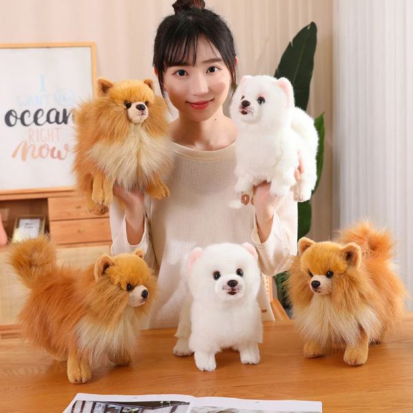 Miniature 23 cm Kawaii Peluche Pomerania Cane Vita Reale Peluche Giocattolo Animali di Peluche Morbido Cucciolo Pet Doll Bambini Regali per Bambini Kawaii Room Decor