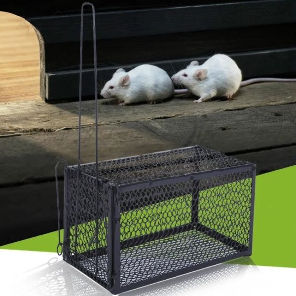 Armadilhas 1pc ratos rato controle captura isca gaiola reutilizável roedor animal rato armadilha ao vivo hamster gaiola decoração de casa
