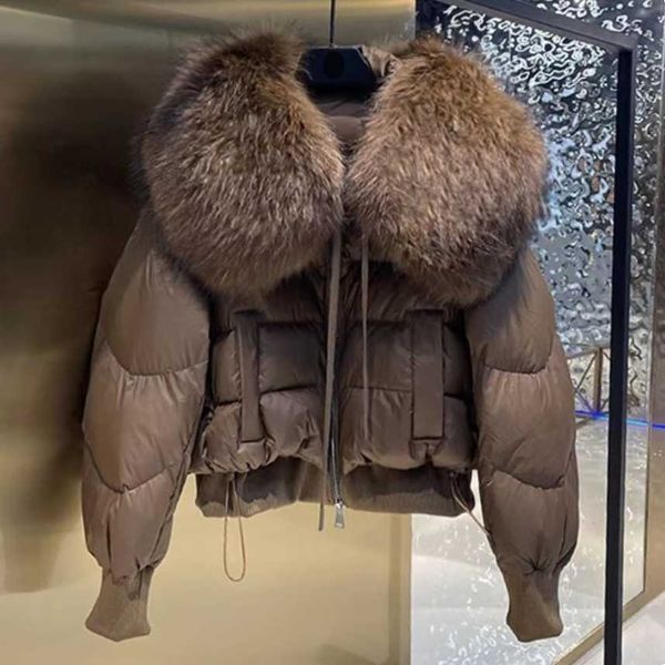 Jaqueta sopradora de penas de ganso direto da fábrica para mulheres grande gola de pele de guaxinim parka casaco à prova de vento de inverno com capuz