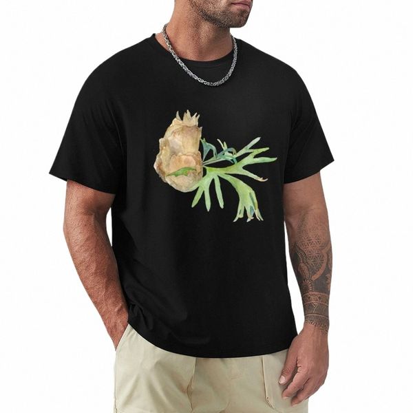 Staghorn Fern. Suluboya boyama. El boyalı illüstrati. T-shirt büyük boy sade erkek grafik tişörtler hip hop a2op#