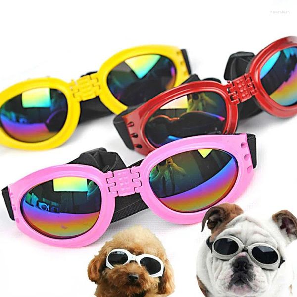 Abbigliamento per cani Occhiali stile moda Accessori per animali Occhiali da sole Fettuccia elastica regolabile Occhiali per cuccioli Occhiali da vista Erbe