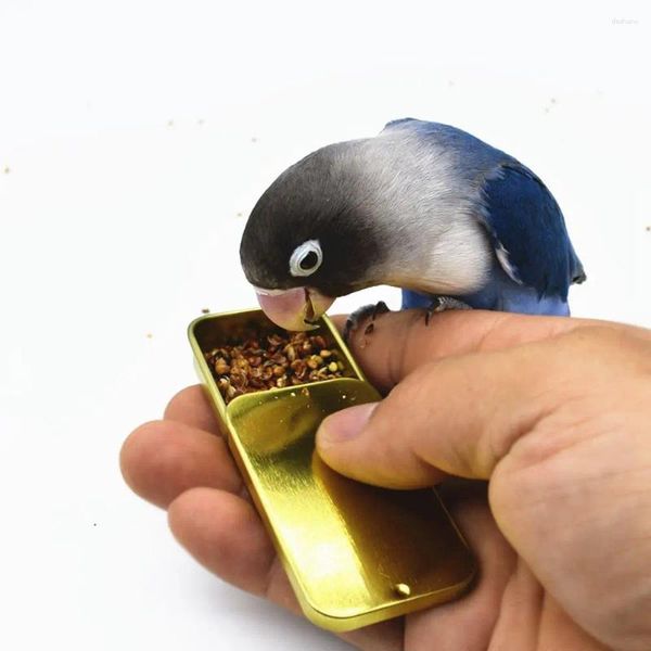 Outros suprimentos de pássaros treinamento comida jar papagaio alimentador de mão ferramentas de crescimento de QI brinquedos interativos para animais de estimação