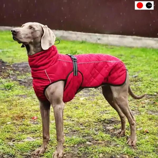 Cão vestuário ao ar livre jaqueta impermeável roupas colete inverno quente algodão cães roupas para grande médio labrador vermelho preto