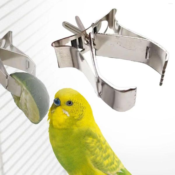 Outros suprimentos de pássaros Papagaio Fruta Vegetal Clipe Gaiola Suporte de Comida Braçadeira Dispositivo de Alimentação Leve para Budgie Pequenos Animais