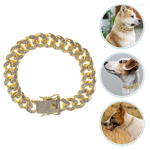 Coleiras de cachorro trela colar pescoço ornamento decorativo corrente colar metal liga de zinco ouro elegante