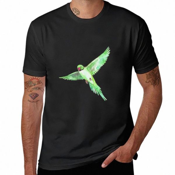 Indian Ringneck Parakeet T-Shirt Sade Sevimli Üstler Gümrükler Erkek Pamuk Tişörtleri E8VR#