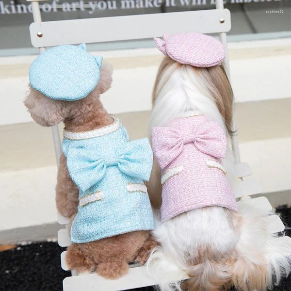 Abbigliamento per cani Vestiti per ragazza carina Cappello invernale Costumi piccoli Yorkie Pomerania Shih Tzu Barboncino maltese Bichon Schnauzer Abbigliamento