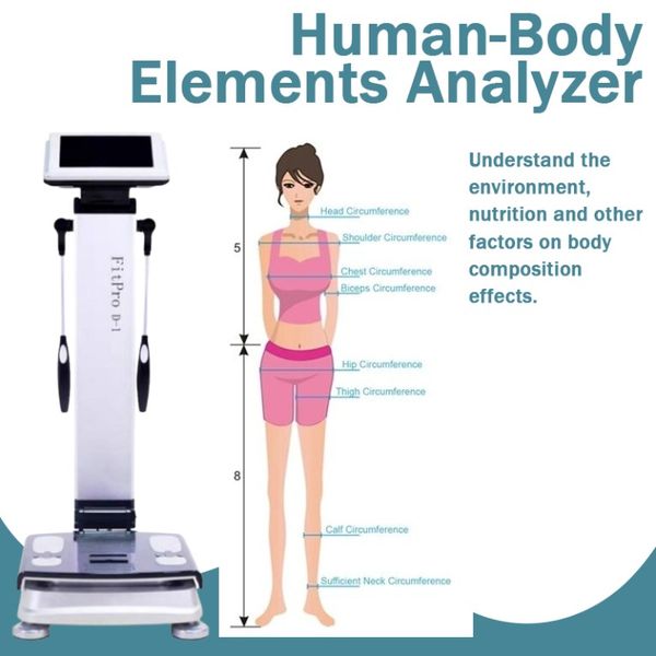 Analisi della composizione dell'analizzatore di grasso per la salute del corpo per la diagnosi della pelle con la macchina digitale per bilancia con stampa Bluetooth