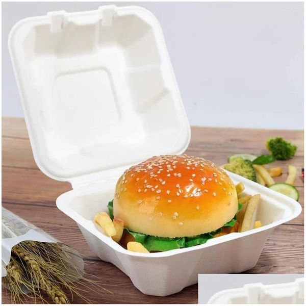 Einweg-Behälter zum Mitnehmen, 50 Stück, Bento-Box, Zuckerrohrfaser, kompostierbarer Lebensmittelbehälter, 15,2 cm, Hamburger, Mikrowelle, Drop-Lieferung Ho Otuzh