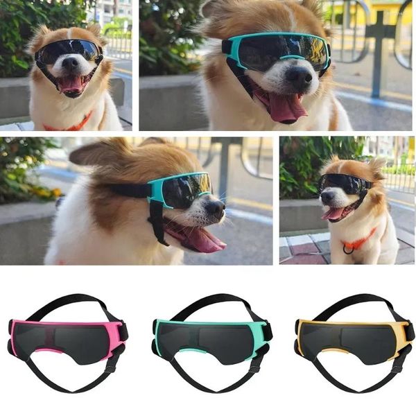 Abbigliamento per cani per la protezione Occhiali da sole di razza Guida all'aperto Occhiali da equitazione UV per cuccioli Occhiali di protezione per piccoli prodotti