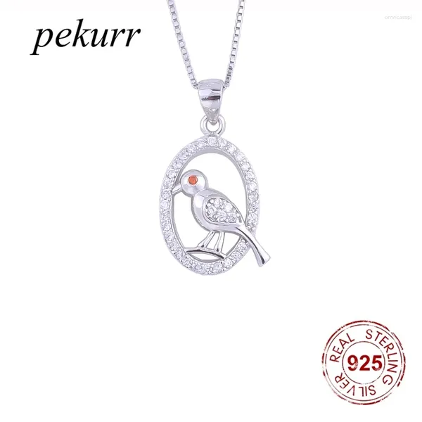 Anhänger Pekurr 925 Sterling Silber Oval Runde Spatz Vogel Halskette Für Frauen Zirkon Hoop Tauben Kragen Edlen Schmuck