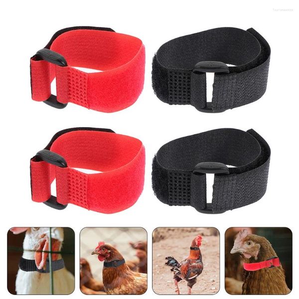 Coleiras de cachorro 4 pcs galo pescoço cinta ruído livre galo colar anti-gancho anel cinto para aves náilon corvo anti-crowing