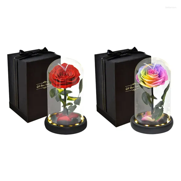 Fiori decorativi 2 pezzi Rosa che dura per sempre Fiore conservato in eterno nella lampada a cupola di vetro per San Valentino Rosso multicolore