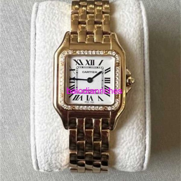 Carters Classics Orologi Carters Panthere Wjpn0009 Orologio da donna grande in oro rosa 18 carati FNEG