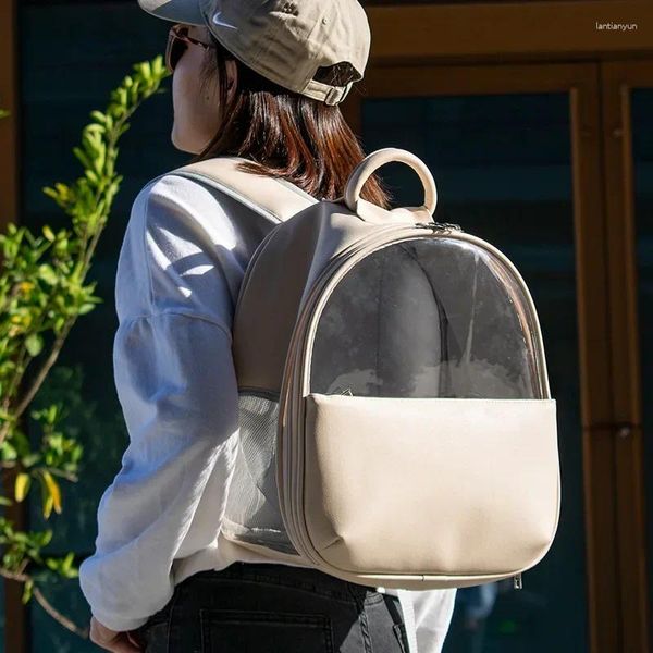 Mochila transparente visível moderna para transportadores de gatos, bolsa feminina ultraleve e resistente, suprimentos para animais de estimação portáteis ao ar livre