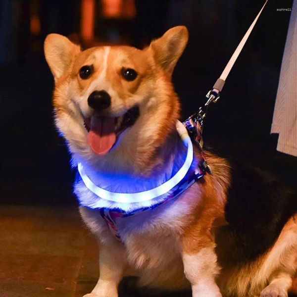 Hundehalsbänder, Allwetter-Haustierhalsband, regensicher, LED, verstellbare Größe, Blinkmodi für Nachtsicherheit, wiederaufladbare Silikonhunde