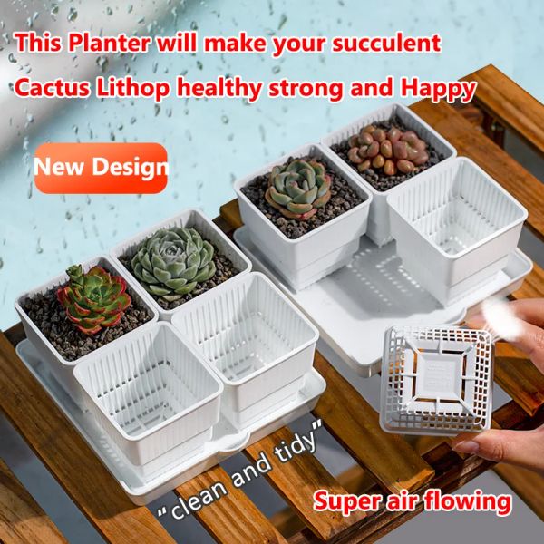 Piantatrici meshpot quadrata in plastica succulenta succulenta cactus fiore vaso di fiore con box di impianto di drenaggio