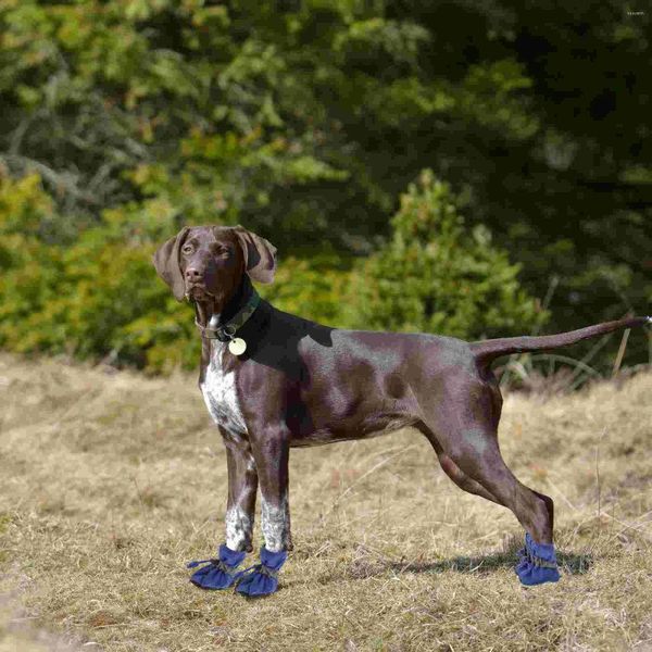 Dog Apparel 4 Stück wasserdichte Anti-Stiefel für alle Jahreszeiten, Haustier-Stiefel für kleine bis mittelgroße Hunde, Größe XXXL (blau)