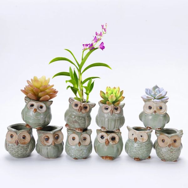 Plantadores Criativos 5 Pçs/set Cerâmica Forma de Coruja Vasos de Flores Novo Plantador de Cerâmica Mesa Vaso de Flores Bonito Design Suculento Vaso de Plantar