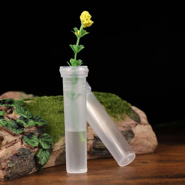 Borse Tubi per fiori Fiale per acqua Plettri per tubi con stelo floreale per contenitore singolo Porta bouquet fresco Fiala per piante in plastica per piccole sostanze nutritive